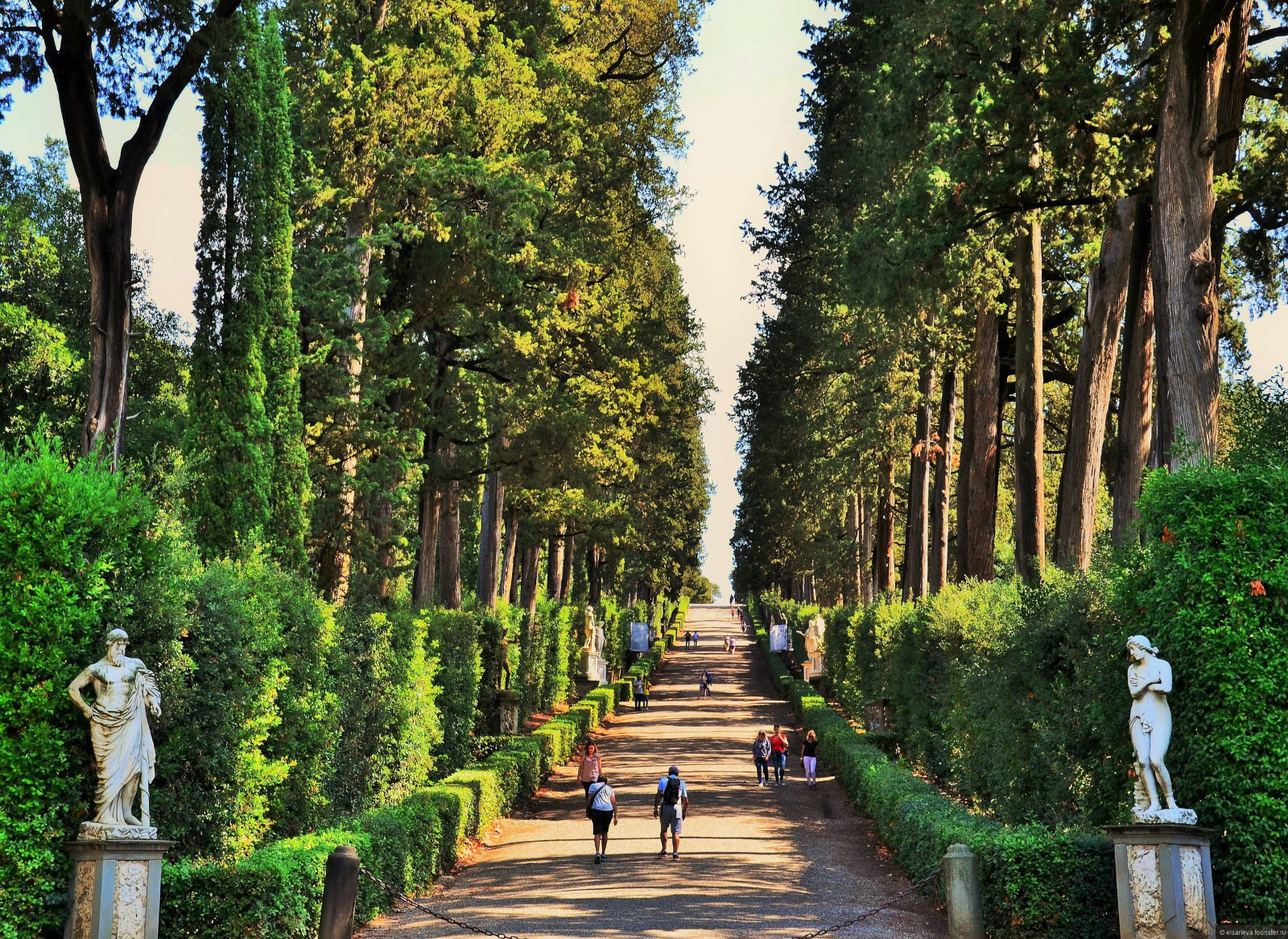 Firenze